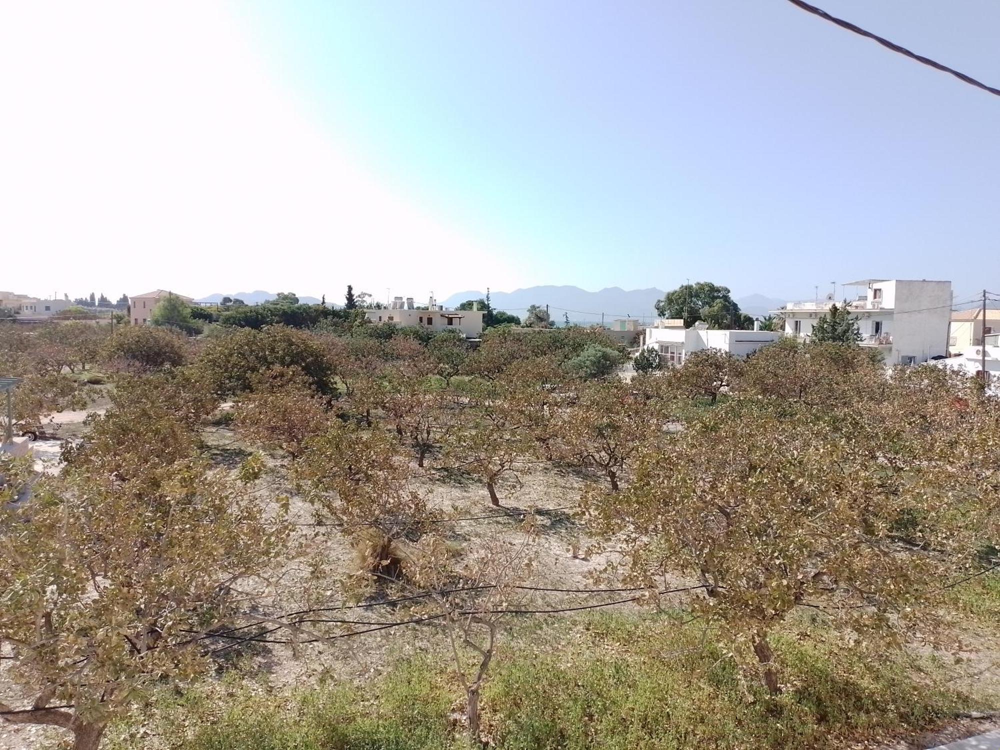 Miranta Hotel - Apartments & Studios Aegina Ngoại thất bức ảnh